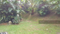 Clementi Park (D21), Detached #119378862